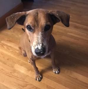 Meet your Posher, Janet